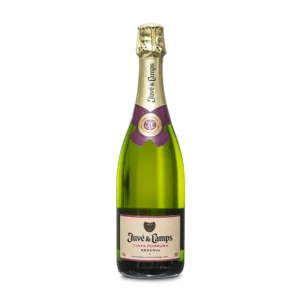 Juvé & Camps Essential Púrpura Reserva