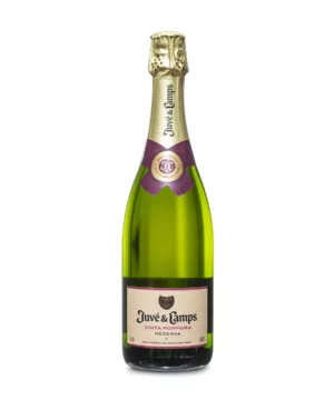 Juvé & Camps Essential Púrpura Reserva